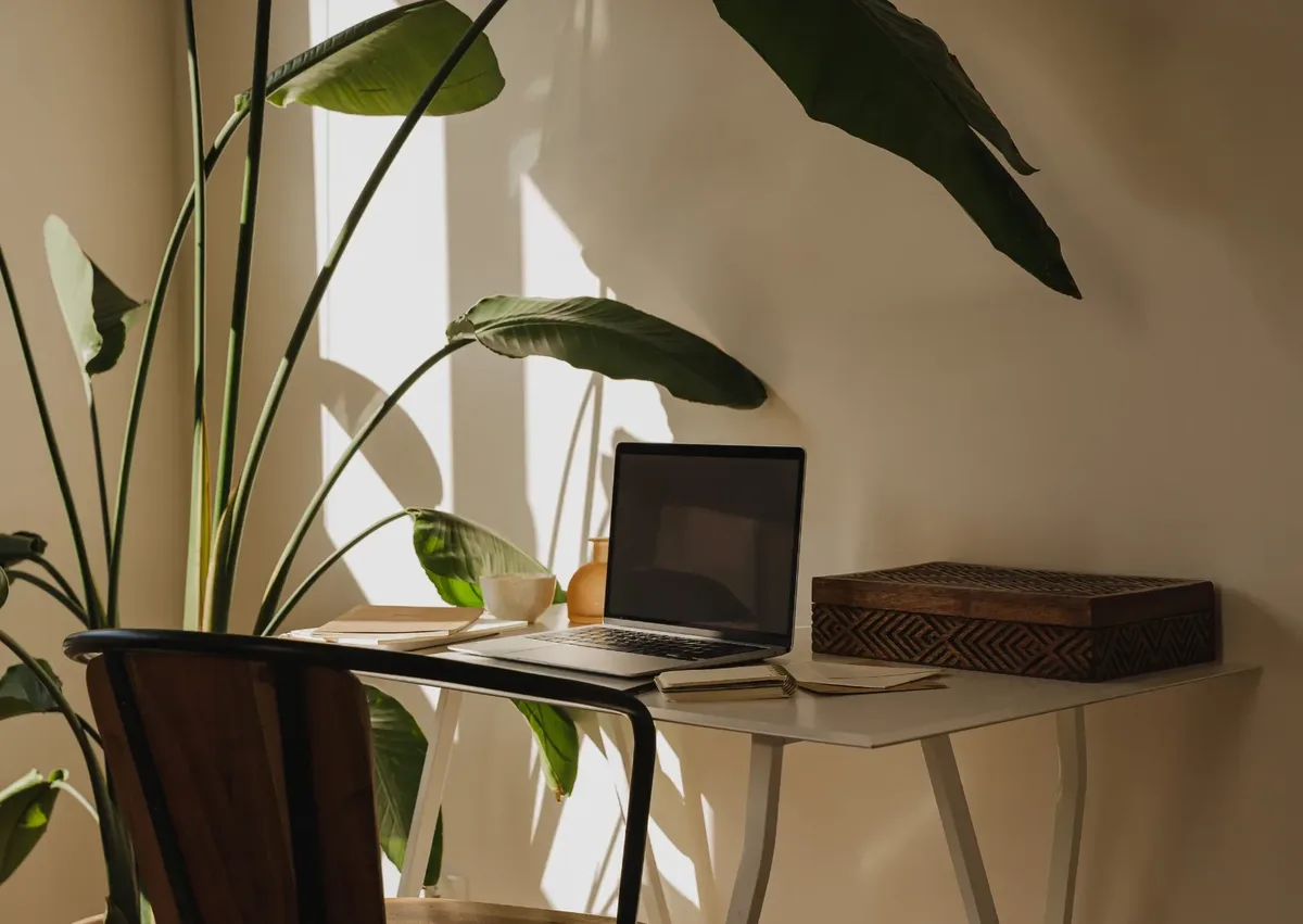 Werkplek met bureau, plant, stoel en laptop